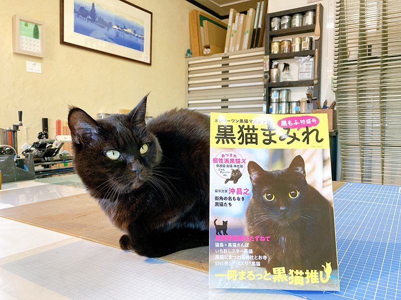 「黒猫まみれ 黒もふ特盛号」に安曇野SKY版画工房と黒猫フウまめのことを紹介していただきました
